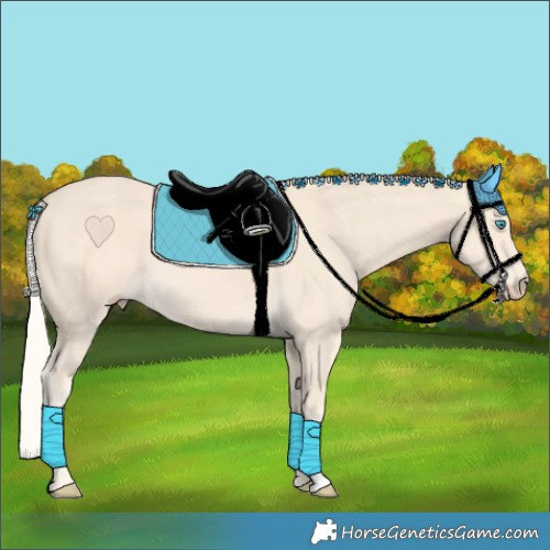 Horse Color:Cremello 