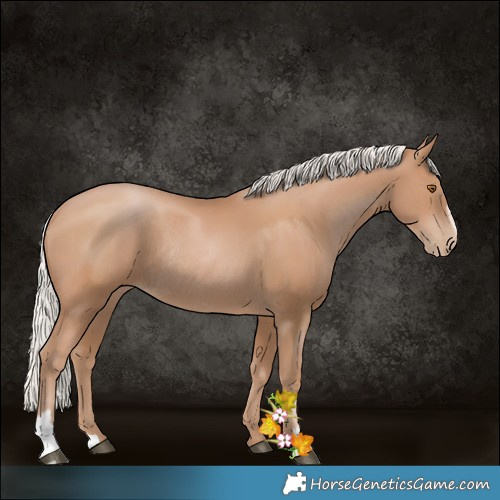 Horse Color:Silver Black Pearl Sabino Rabicano 