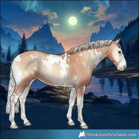 Horse Color:White Spotted Silver Blue Onyx Pearl Sabino 
