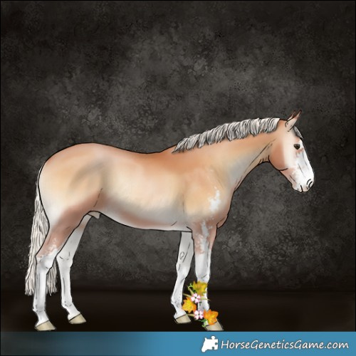 Horse Color:Silver Bay Pearl Onyx Sabino 