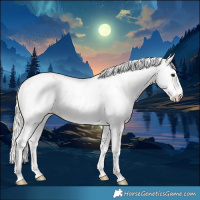Horse Color:Silver Bay Pearl Onyx Sabino Rabicano