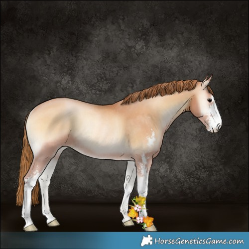 Horse Color:Bay Pearl Onyx Sabino Rabicano 