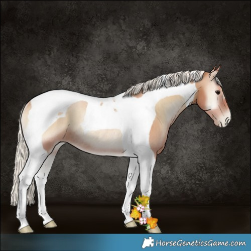 Horse Color:Silver Blue Onyx Pearl Tobiano Rabicano 