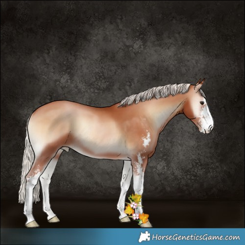 Horse Color:Silver Brown Pearl Onyx Sabino 