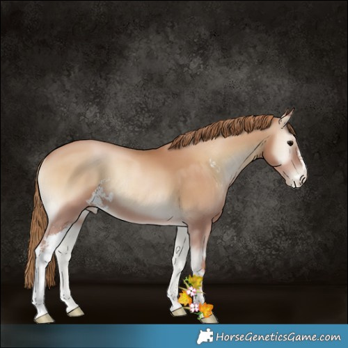 Horse Color:Blue Onyx Pearl Sabino 