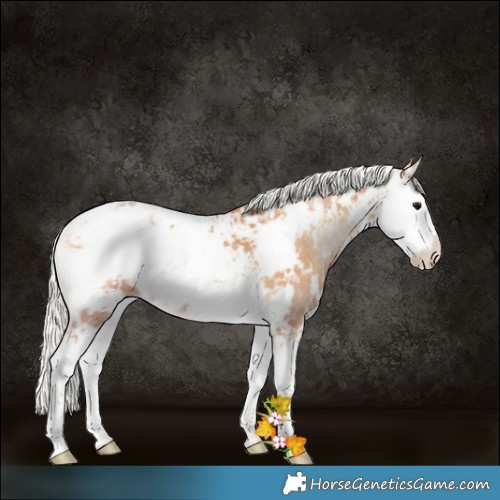 Horse Color:Silver Blue Onyx Pearl Sabino 