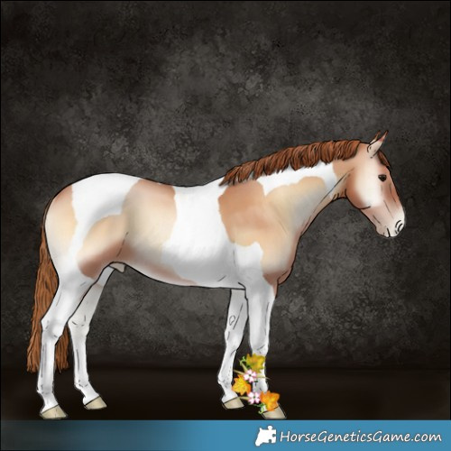 Horse Color:Brown Pearl Onyx Tobiano 