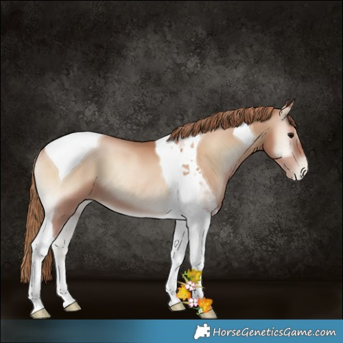 Horse Color:Blue Onyx Pearl Tobiano 