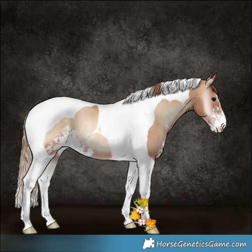 Horse Color:Blue Onyx Pearl Sabino Tobiano 
