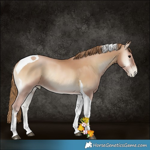 Horse Color:Blue Onyx Pearl Sabino Tobiano 
