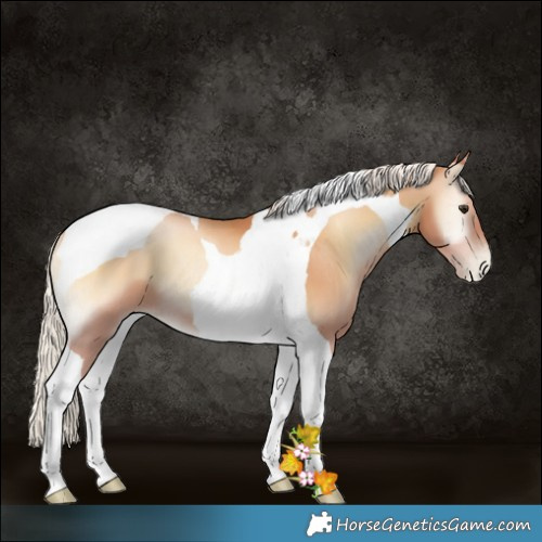 Horse Color:Silver Bay Pearl Onyx Tobiano 