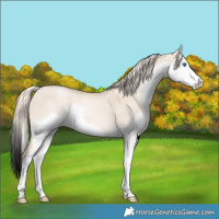 Horse Color:Chocolate Palomino Roan Pearl Dun Sabino Splash 