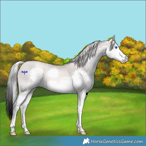 Horse Color:Platinum White Spotted Chocolate Palomino Pearl Splash 