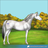Horse Color:Platinum White Spotted Chocolate Palomino Pearl Splash 