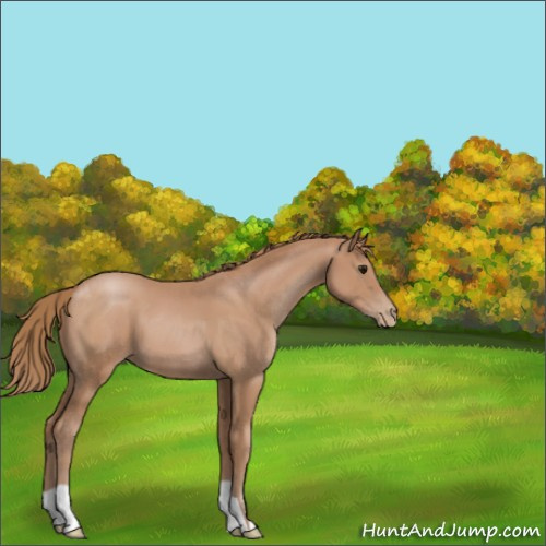 Horse Color:Black Pearl 