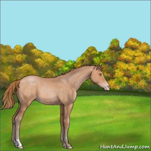 Horse Color:Brown Pearl 