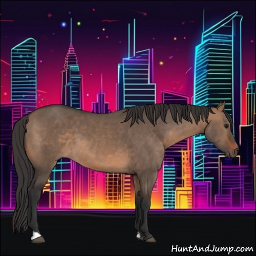 Horse Color:Brown Dun
