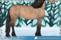 Horse Color:Bay Dun  and Bay Dun 