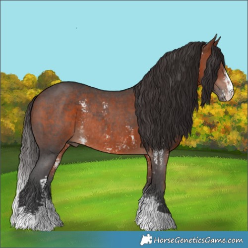 Horse Color:Bay Sabino Rabicano 