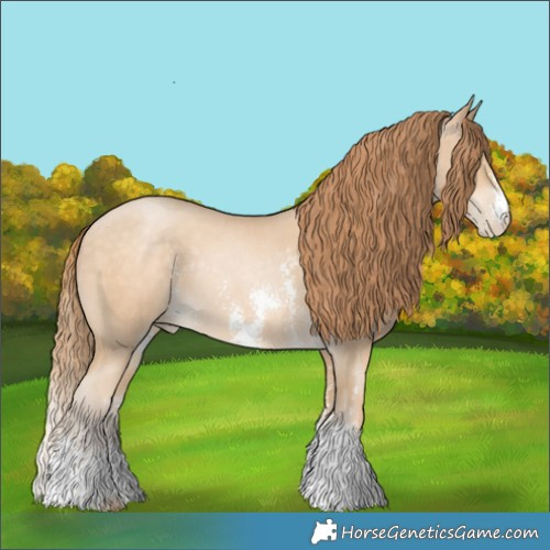 Horse Color:Buckskin Pearl Sabino Rabicano 