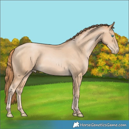 Horse Color:Buckskin Pearl Rabicano 