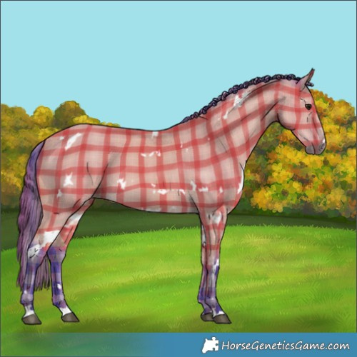 Horse Color:Watercolor Plaid  White Spotted Buckskin 