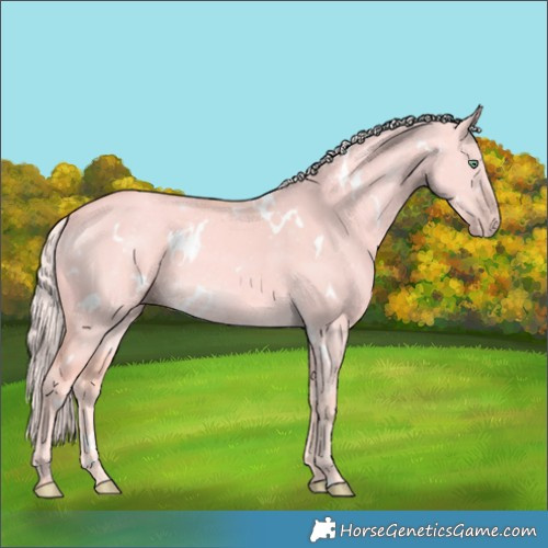 Horse Color:Watercolor White Spotted Gold Cream Champagne Dun 