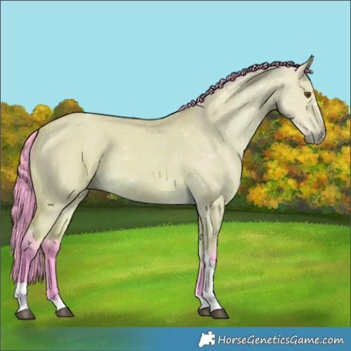 Horse Color:Watercolor Buckskin Dun Tobiano