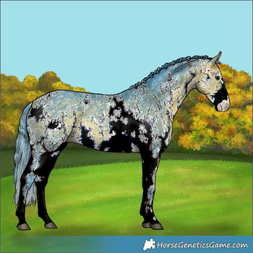 Horse Color:Watercolor Buckskin Sabino 