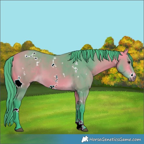 Horse Color:Watercolor White Spotted Buckskin Sabino 