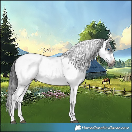 Horse Color:White Spotted Black Sabino Frame Rabicano 