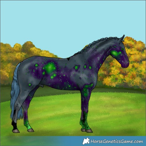 Horse Color:ERROR: UNKNOWN ANOMALY