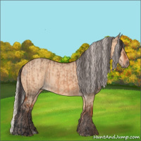 Horse Color:Bay Dun  and Silver Bay Dun 
