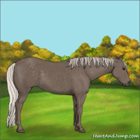 Horse Color:Silver Black 