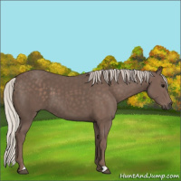 Horse Color:Silver Black 