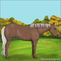 Horse Color:Silver Black 