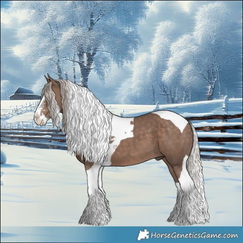 Horse Color:Silver Black Sabino Splash Tobiano 