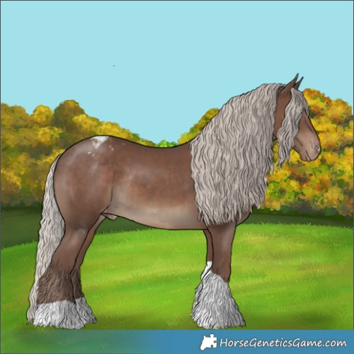 Horse Color:Silver Black Sabino Tobiano Appaloosa Rabicano 