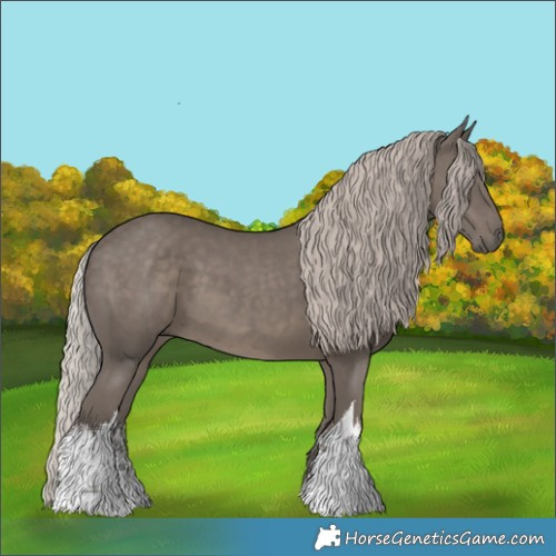 Horse Color:White Spotted Silver Black 