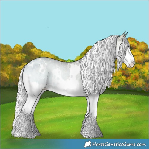 Horse Color:White Spotted Silver Blue Onyx Chinchilla Ice Splash Appaloosa 