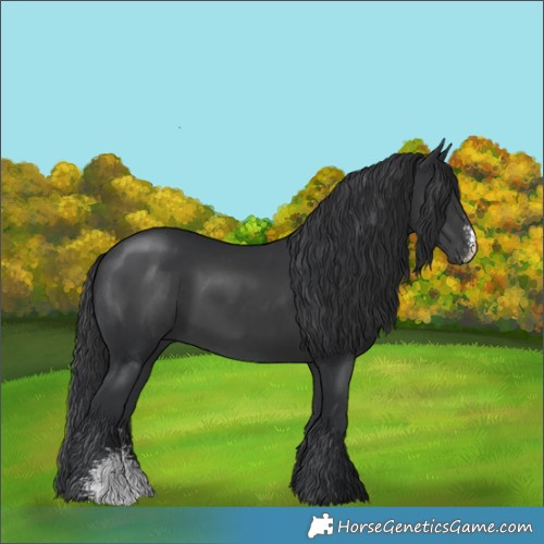 Horse Color:Black Sabino Rabicano 