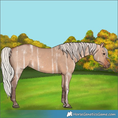 Horse Color:Silver Brown Ice Dun 