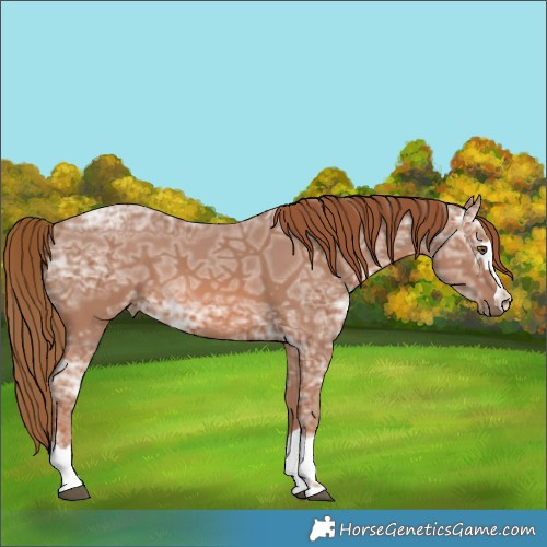 Horse Color:Chestnut Ice 