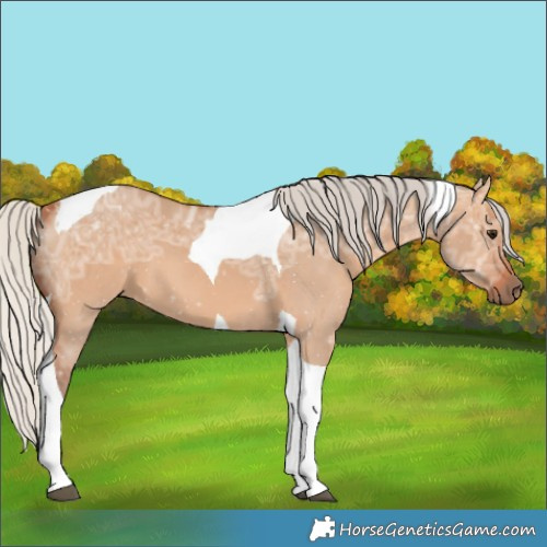 Horse Color:Silver Bay Ice Dun Tobiano