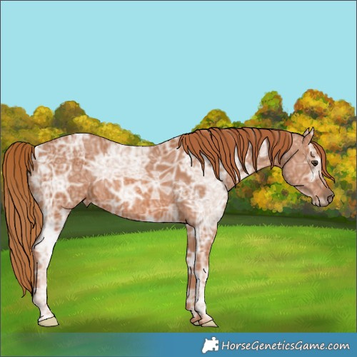 Horse Color:Chestnut Ice 