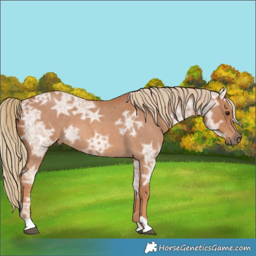 Horse Color:Red Ice Roan 