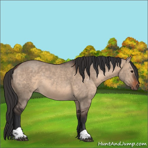Horse Color:Brown Dun  and Brown Dun 