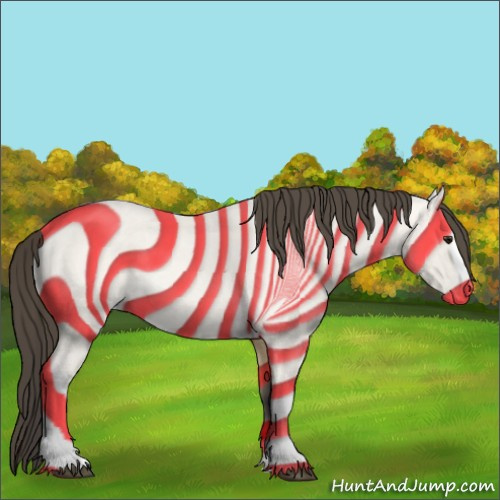 Horse Color:Buckskin Roan Splash 