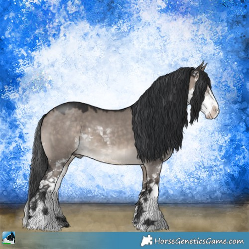 Horse Color:Brown Dun Mushroom Sabino 