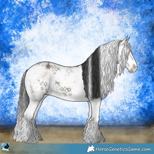 Horse Color:Grullo Mushroom Sabino Splash 